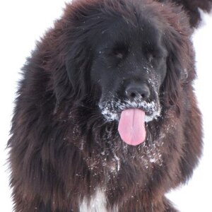 Fundraising Page: Heather Whittington